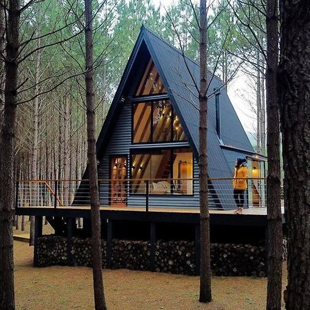Cabana Alameda Black Камбара Екстер'єр фото